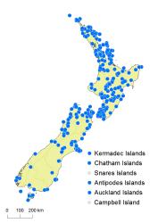 
  Microsorum pustulatum subsp. pustulatum distribution map based on databased records at the Allan Herbarium, Auckland War Memorial Museum and Te Papa Tongarewa.
 Image: K. Boardman © Landcare Research 2014 